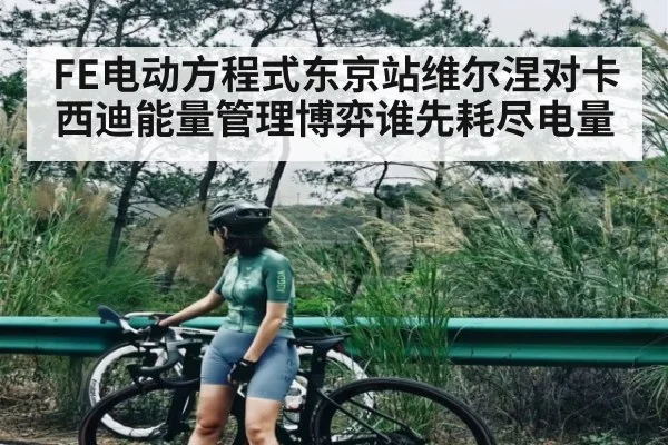 FE电动方程式东京站维尔涅对卡西迪能量管理博弈谁先耗尽电量